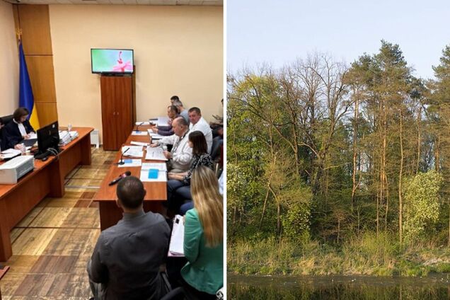 Городские власти Киева через суд вернули громаде 3000 гектаров Беличанского леса