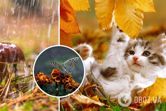 Прогноз погоды по Украине