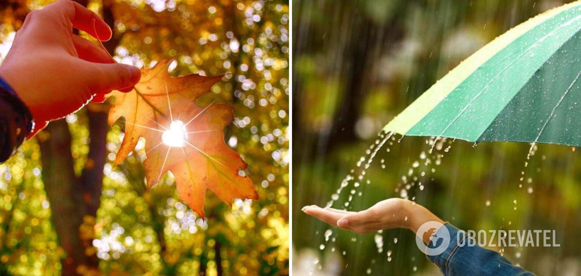 Небольшое похолодание и кратковременные дожди: синоптики дали прогноз погоды на воскресенье, 3 сентября