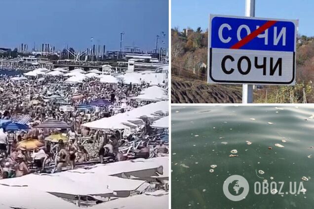 Испражняются в Черное море и пьют из него воду: россияне шокированы отдыхом в Сочи