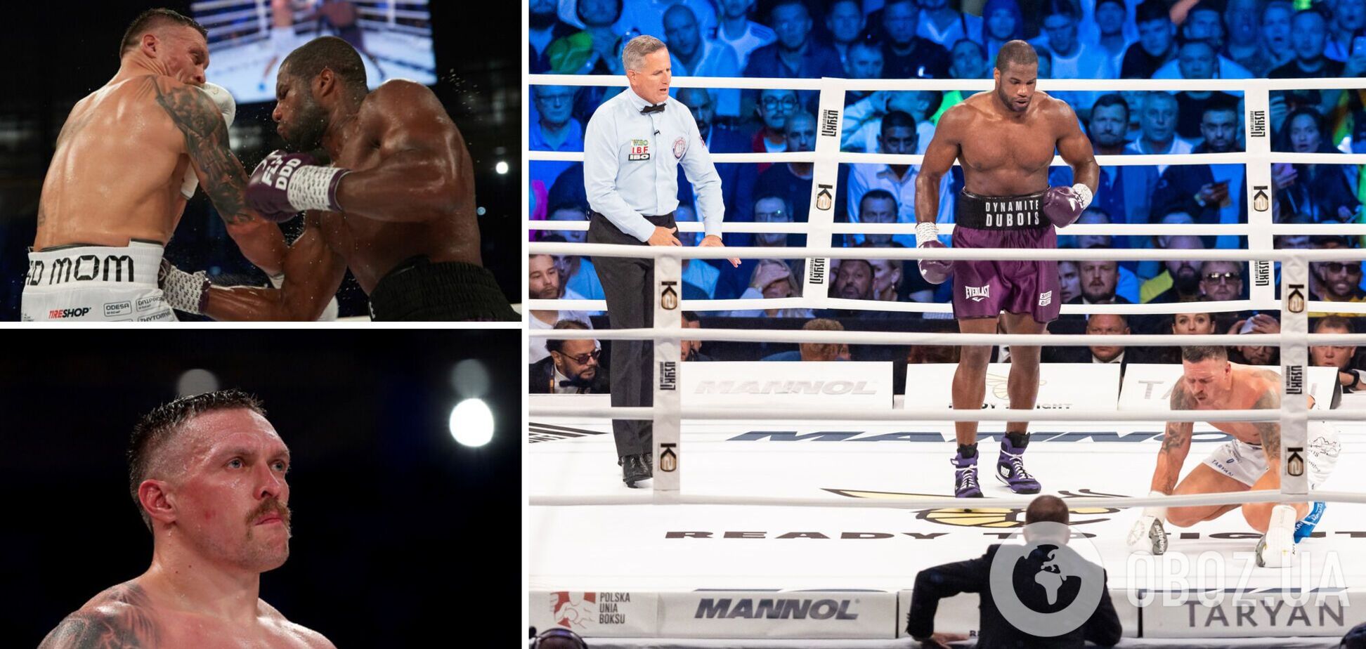 Зачепив черепашку. З'явилося точне пояснення того, що трапилося в бою Усик – Дюбуа