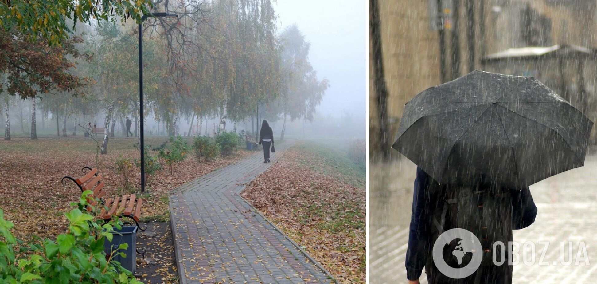 Утром ожидается туман, а днем – дождь