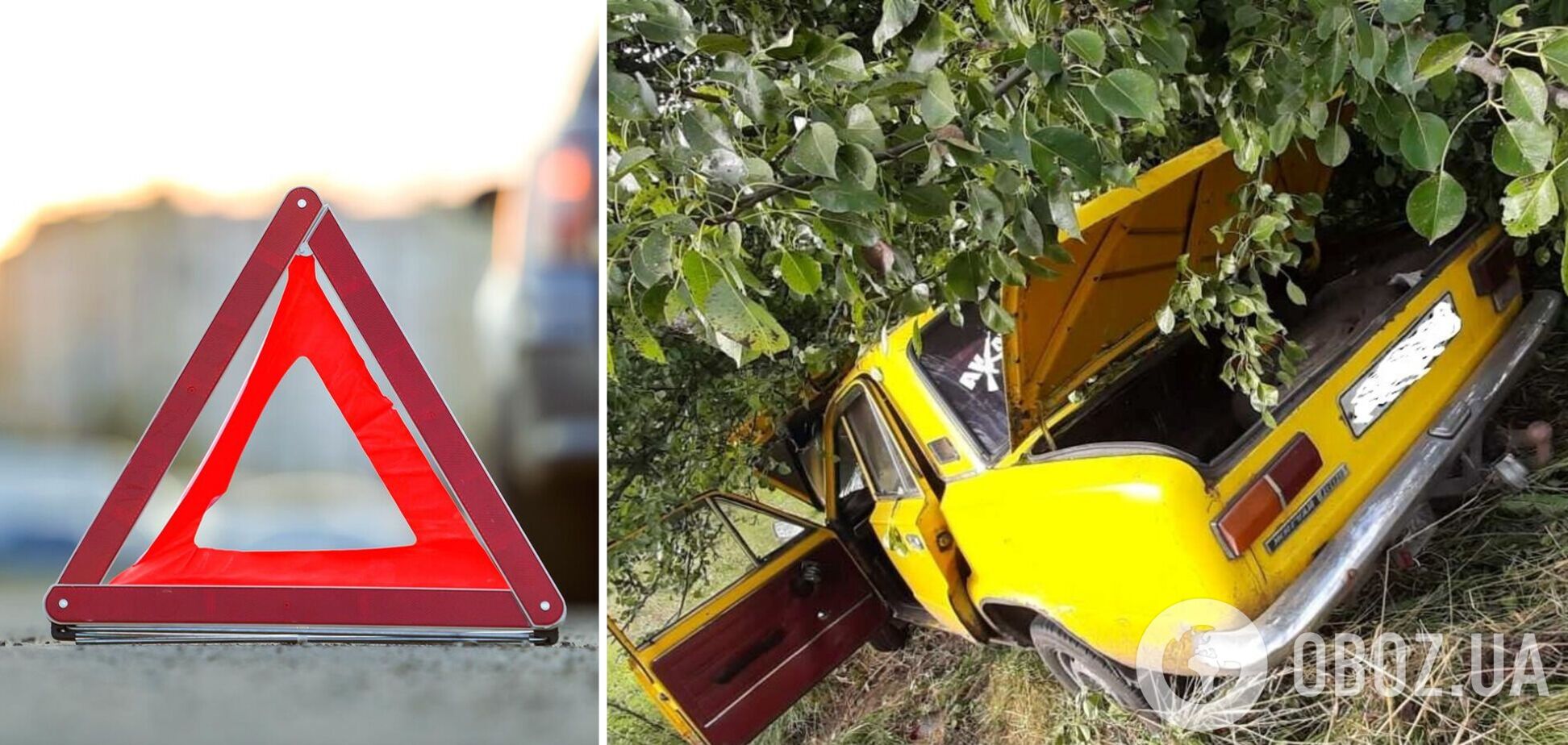 Легковик на швидкості протаранив дерево