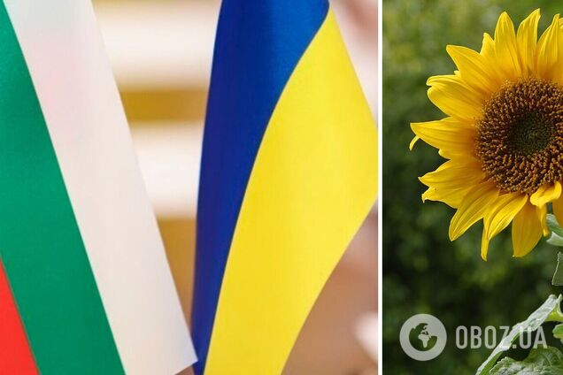 Болгарія має намір заборонити імпорт насіння соняшнику з України