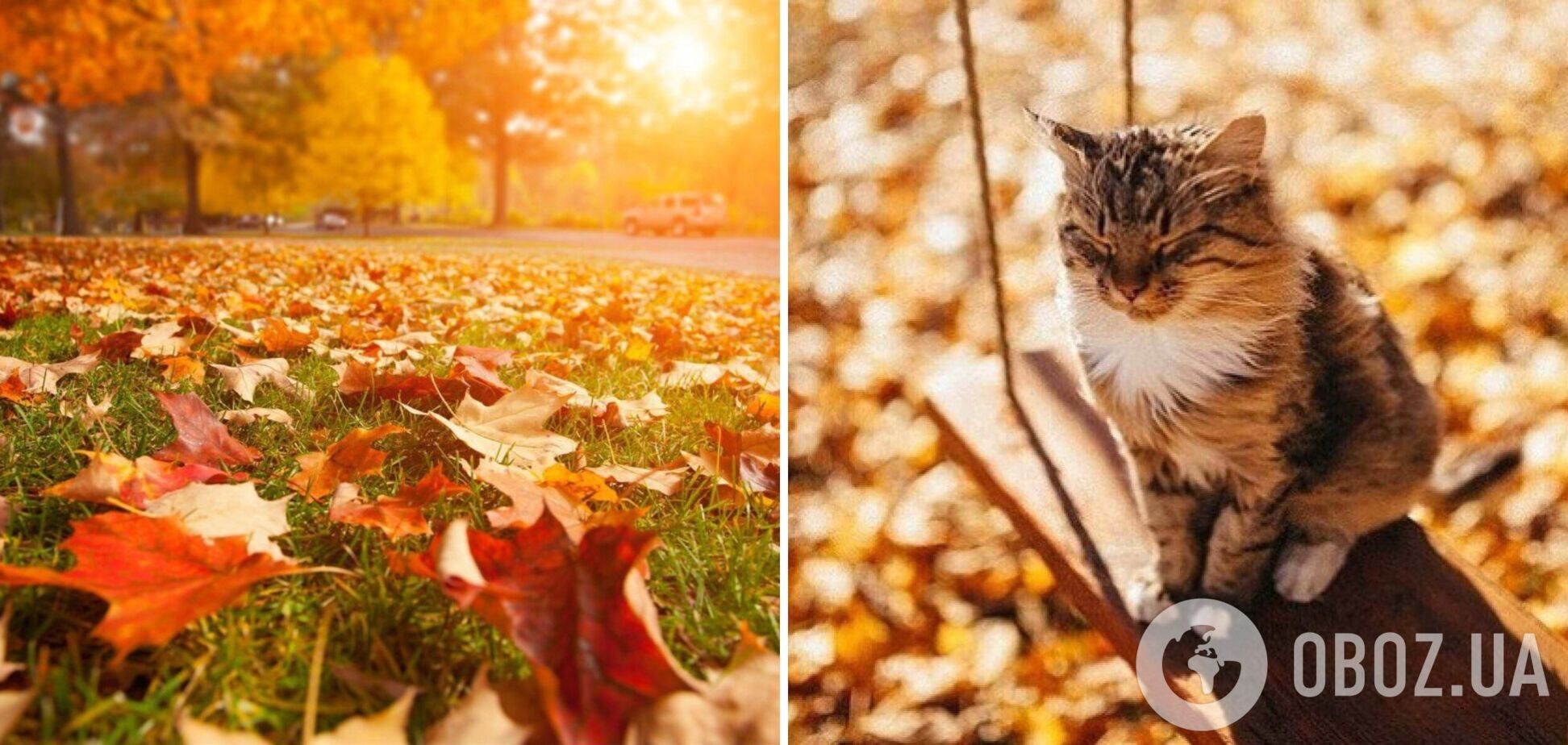 Лето в Украине было жарким, но не рекордным: синоптики рассказали, чего ждать от осени