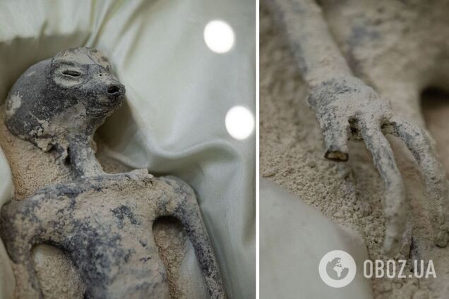 Тела '1000-летних инопланетян' из Мексики подвергли лабораторным тестам, и все стало еще удивительнее