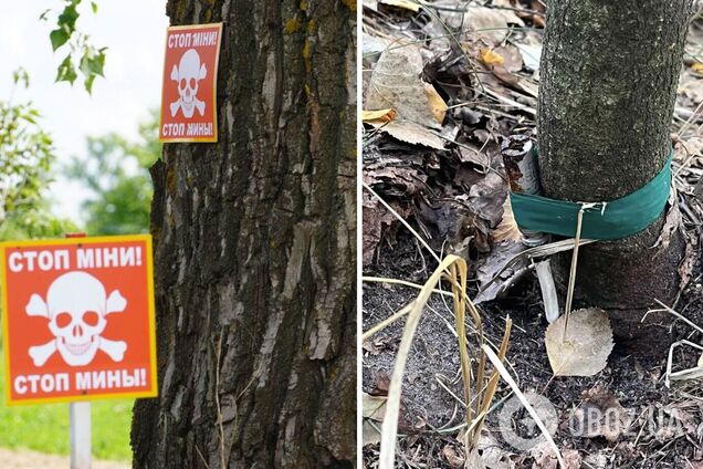 Сапери обстежили знахідку чоловіка