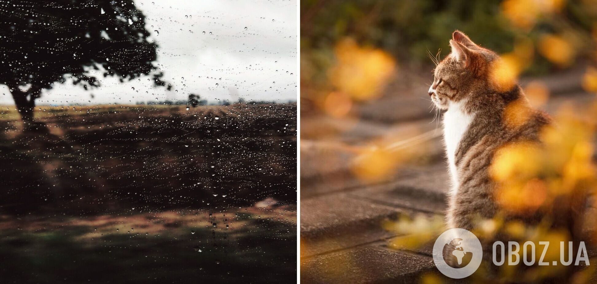 Короткочасні дощі і потепління до +29: синоптики дали прогноз погоди на суботу, 23 вересня