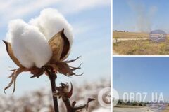 У Криму знову 'бавовна': горить військова частина у Новоозерному. Фото і відео