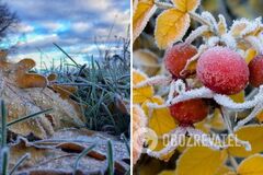 Над Європою формується полярний вихор: синоптики сказали, коли в Україні чекати перших заморозків