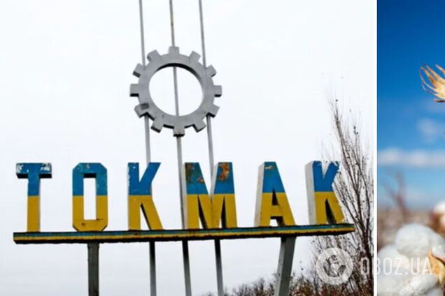 В окупантів на півдні 'дискотека': у Бердянську і Токмаку пролунали вибухи