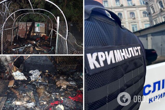 Внаслідок пожежі загинуло сім тварин