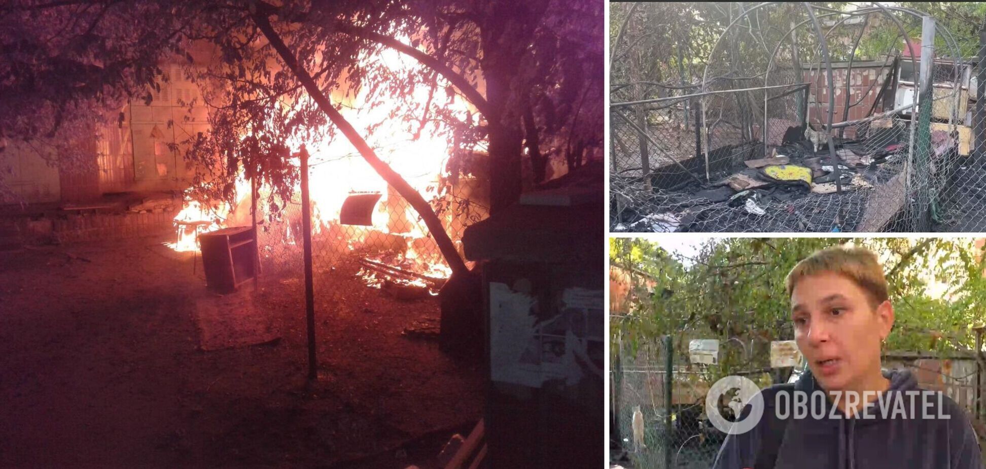 В результате пожара погибли животные