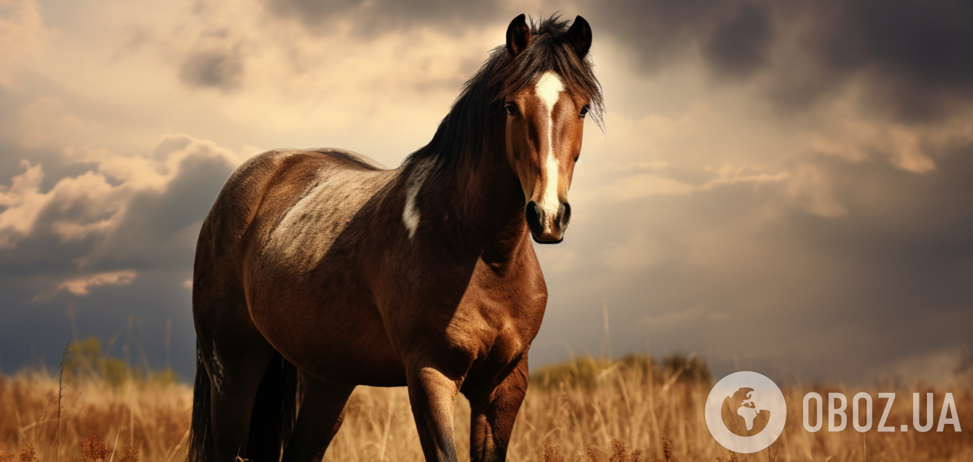 Найдите коня без хвоста: загадка, которая под силу только самым внимательным