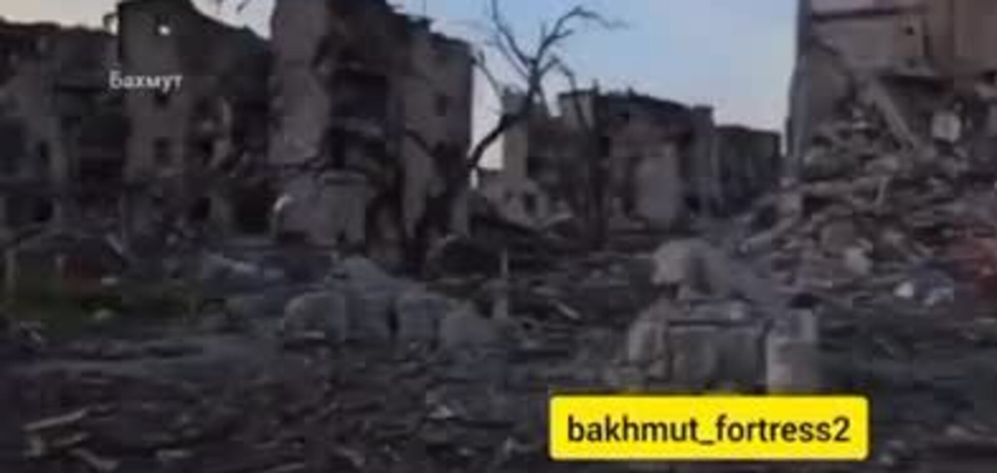 Окупанти знищили Бахмут