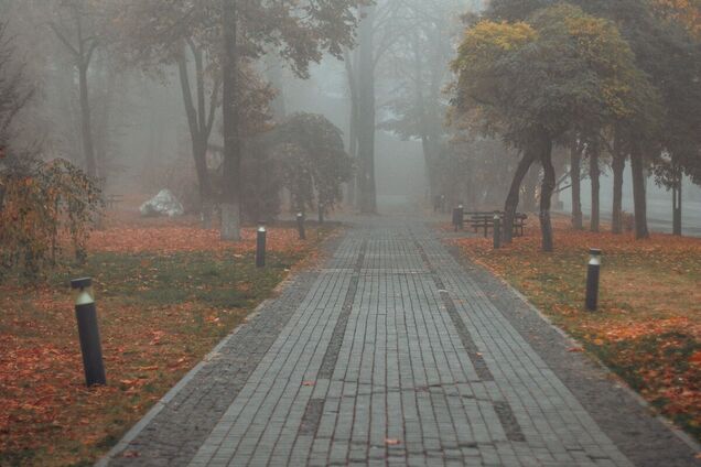 Синоптики прогнозируют туман в регионе