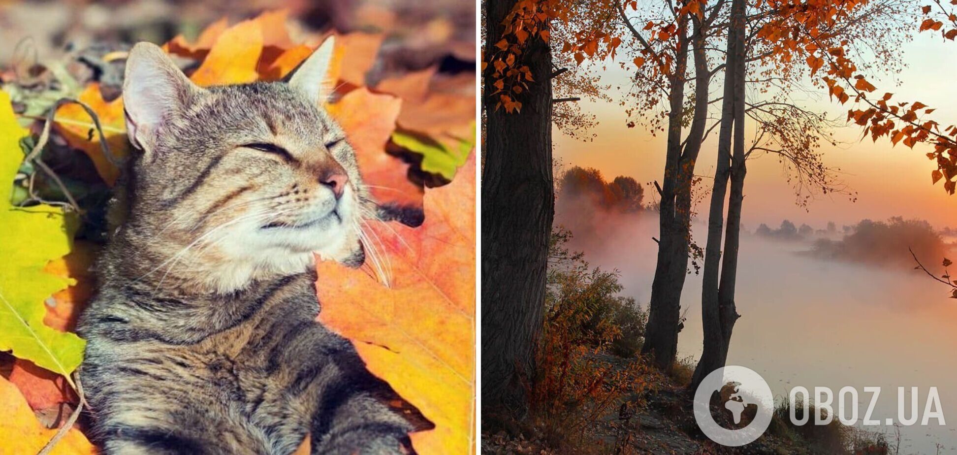 Місцями туман, але без опадів: синоптики дали прогноз погоди на середу, 27 вересня