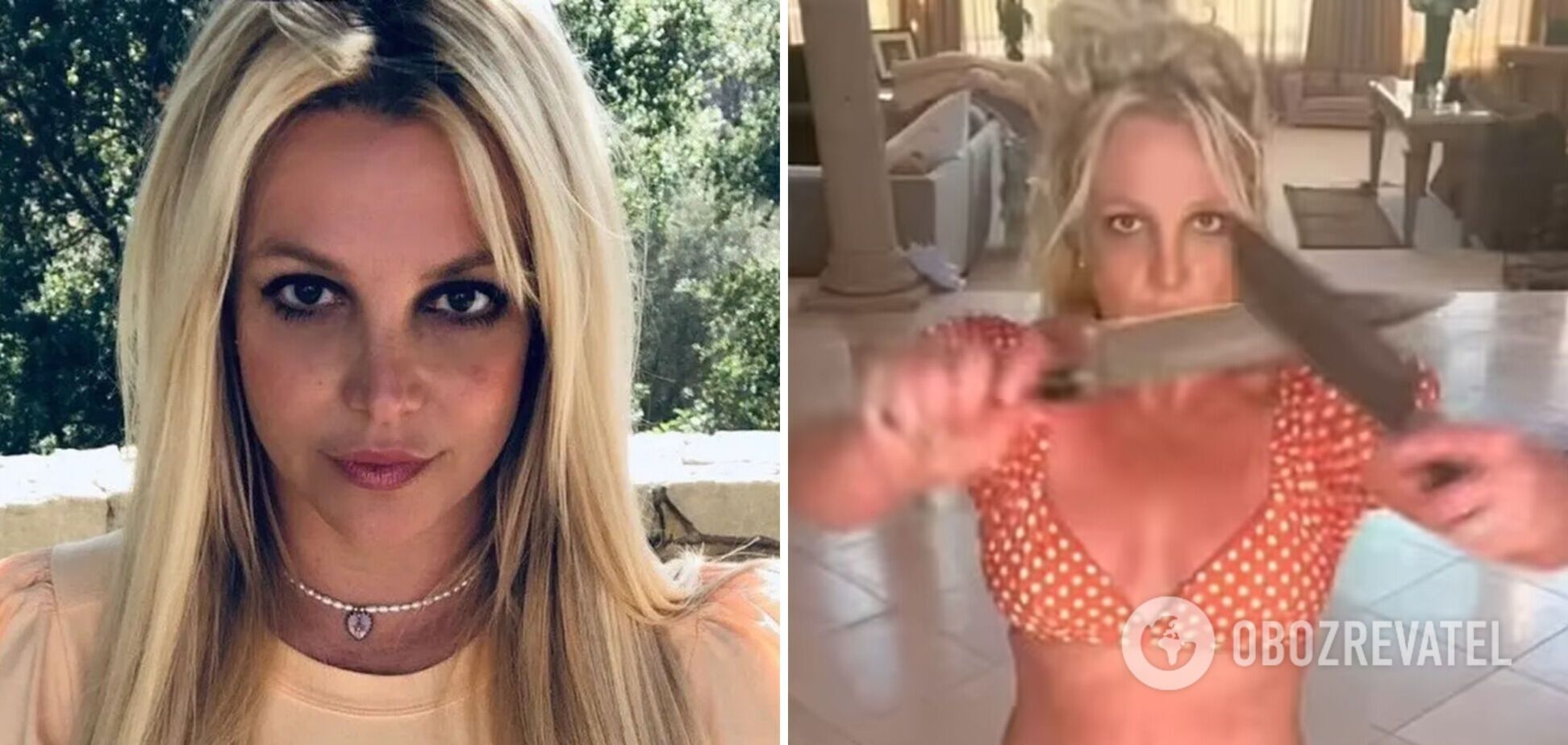 Бритни Спирс в бикини устроила откровенные танцы с ножами и испугала собак. Видео