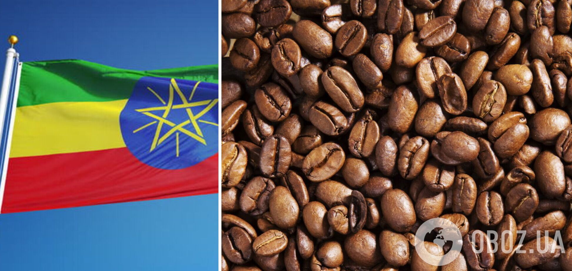 Влада Ефіопії заборонила авіапасажирам вивозити з країни каву в багажу