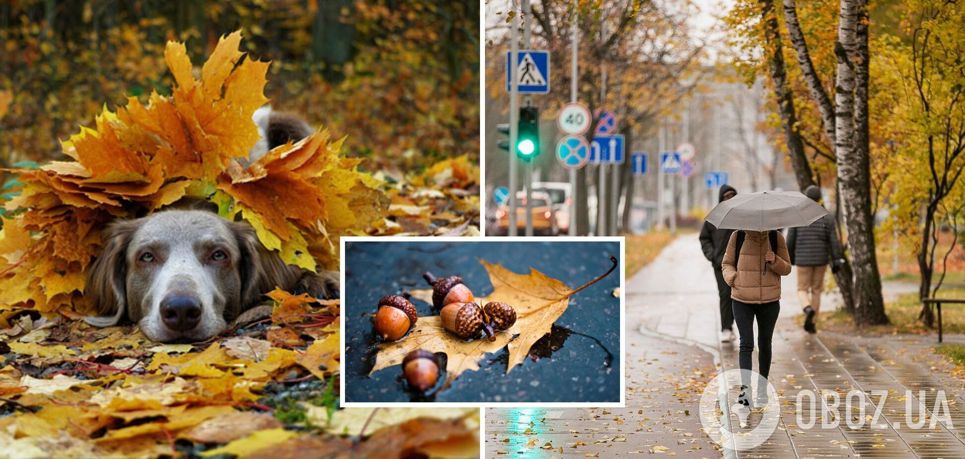 В Украину ворвется похолодание, пойдут дожди: синоптики дали прогноз на начало октября. Карта