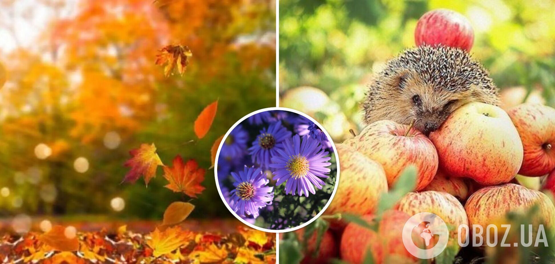 Ветрено, но тепло и без осадков: синоптики дали прогноз погоды на четверг, 28 сентября