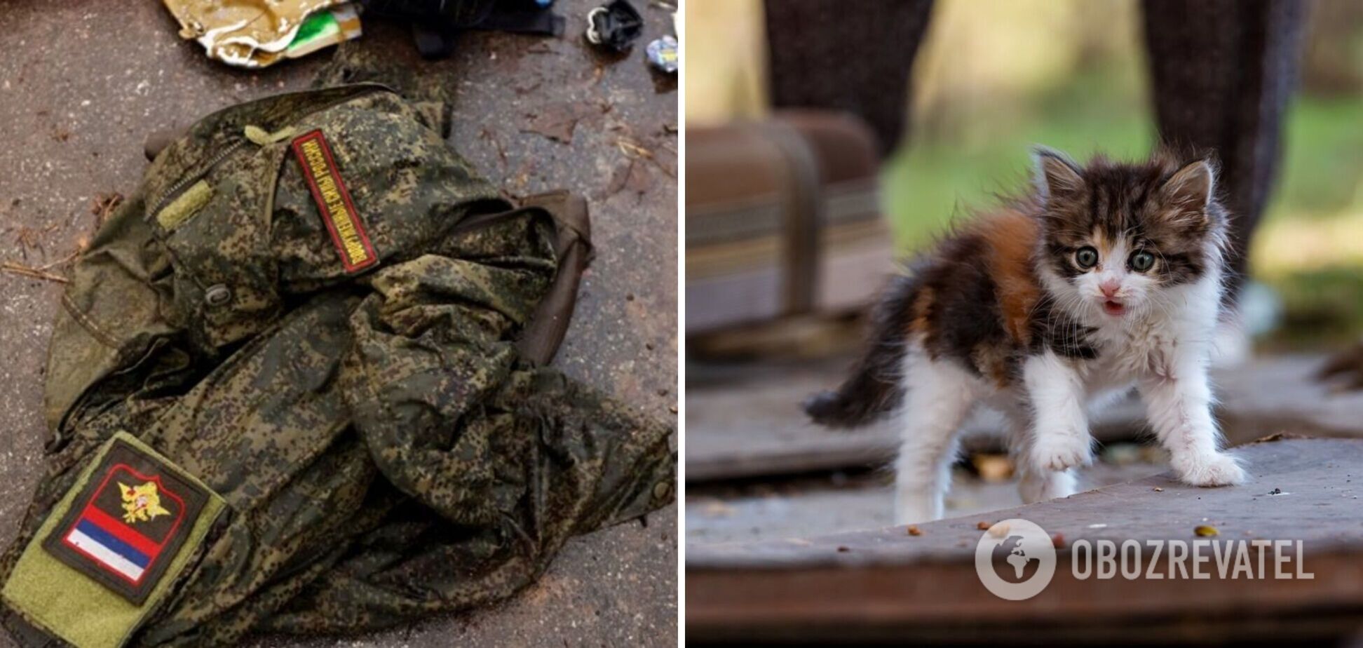 Замість 'Лади', пельменів чи риби: матері ліквідованого в Україні окупанта подарували кошеня. Відео