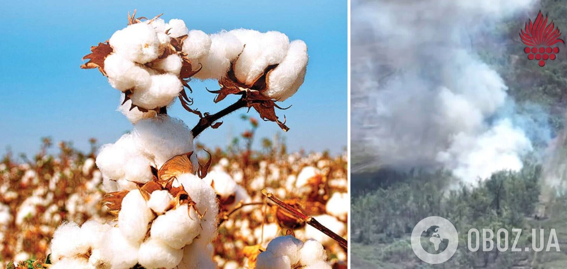 Бавовна у врага