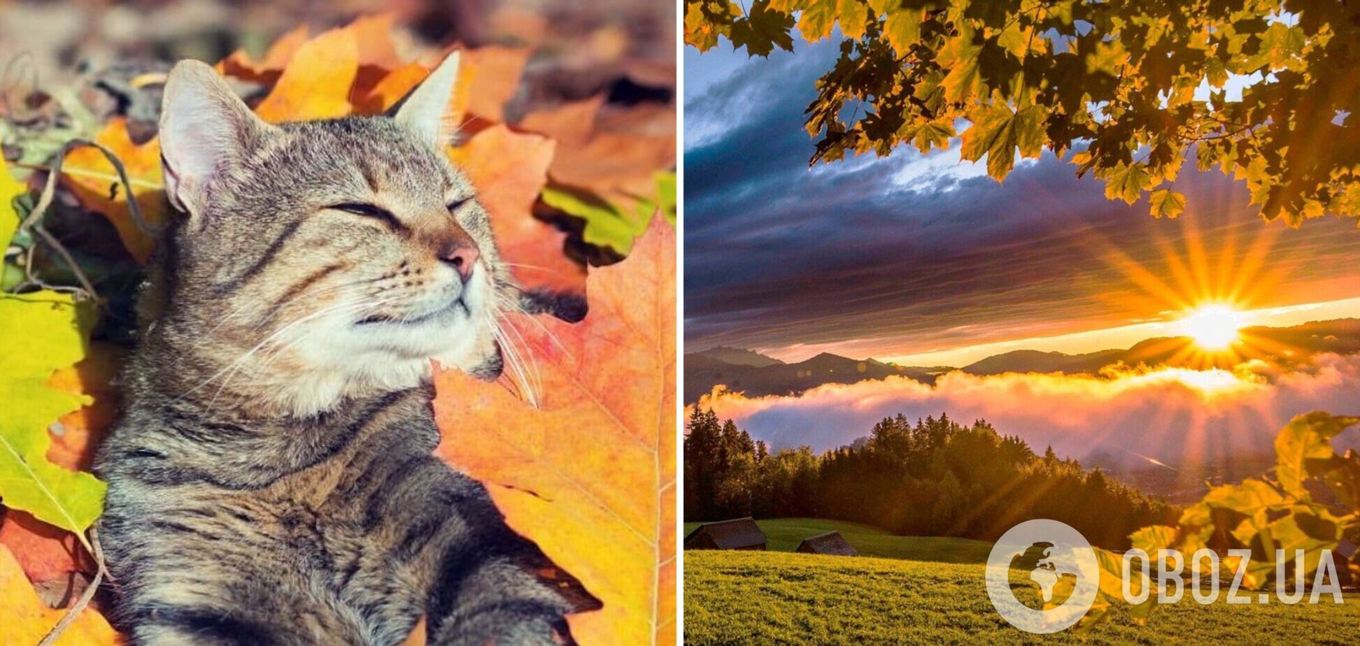 По-осеннему тепло и без осадков: синоптики дали прогноз погоды на субботу, 30 сентября