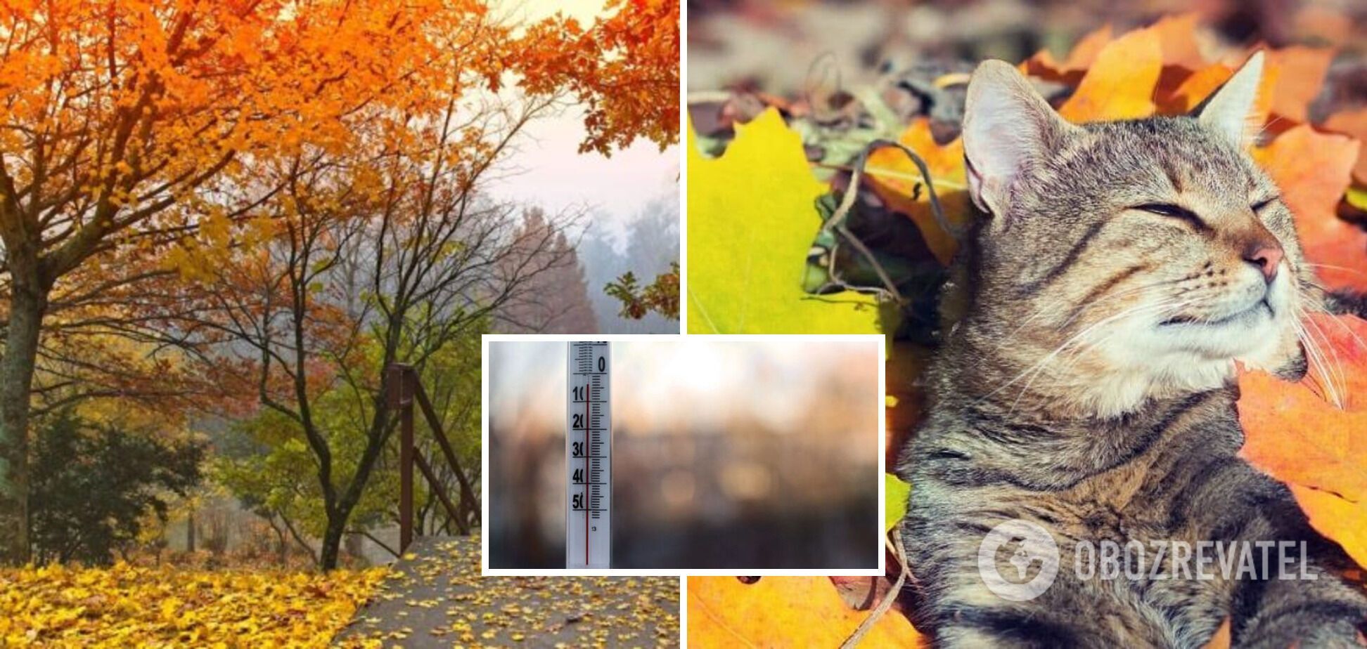 Украина почувствует первое дыхание Арктики: синоптик рассказал, когда ждать заморозков