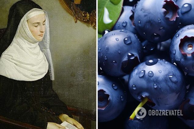 Чорница и черница: почему никогда не стоит путать эти украинские слова