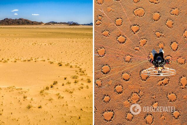 Таємничі 'чарівні кола' виявили у 15 країнах на трьох континентах: вчені десятиліттям не розуміють, що це таке