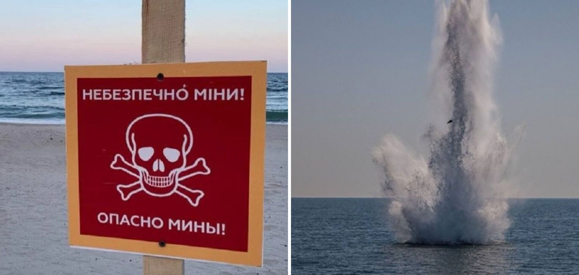 'В этом году ситуация лучше, чем в прошлом': россияне пока не могут минировать акваторию Черного моря, – Плетенчук