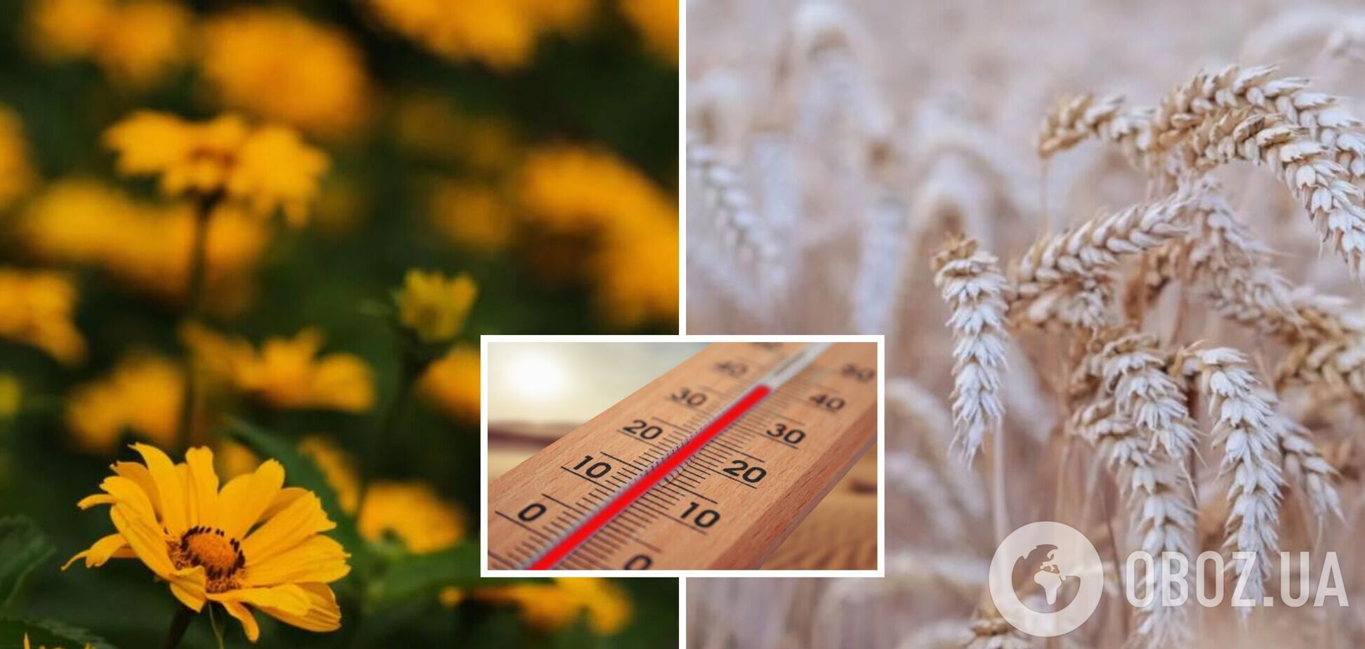 Можливі грози: де 4 вересня зіпсується погода. Прогноз