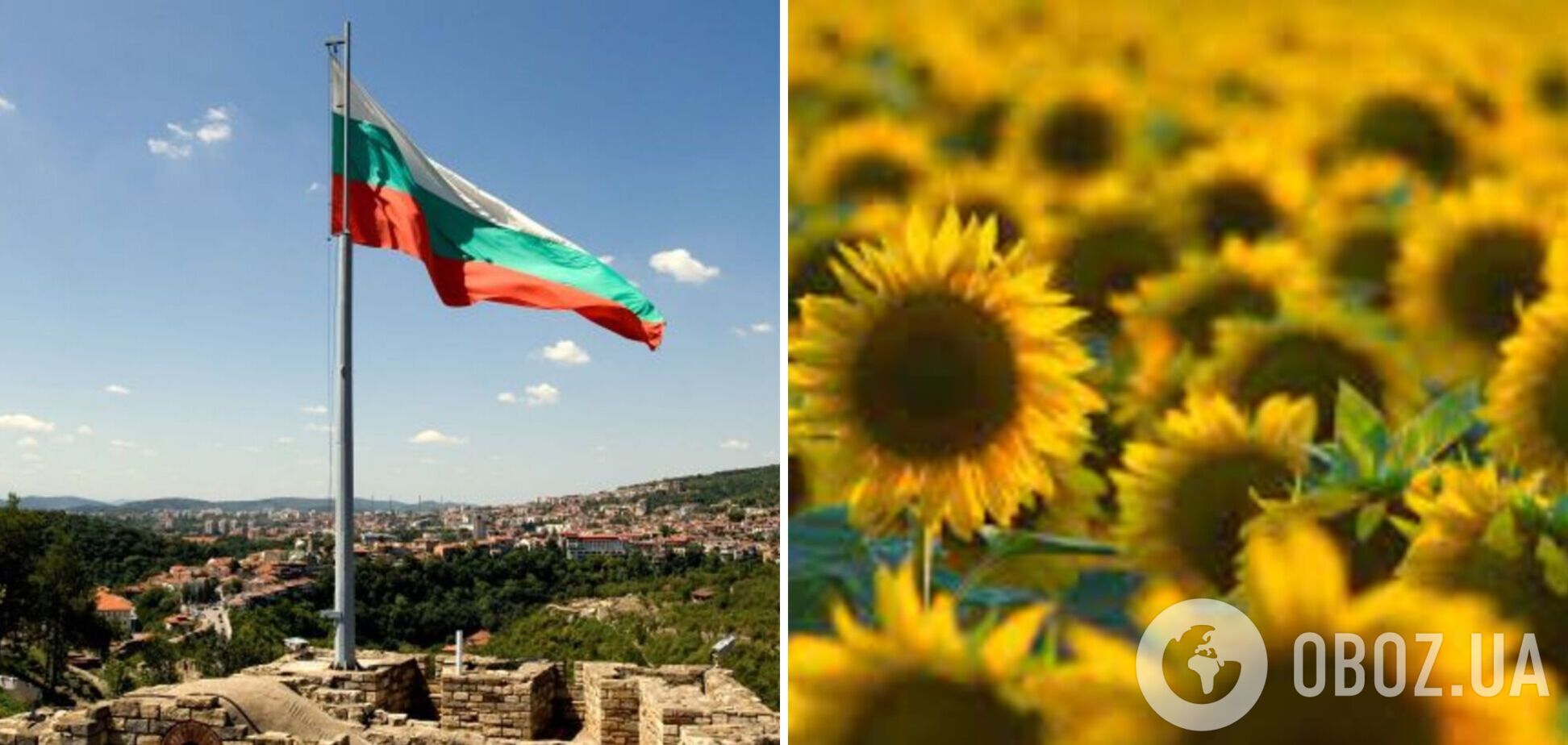 Болгарія заборонила імпорт українського соняшника
