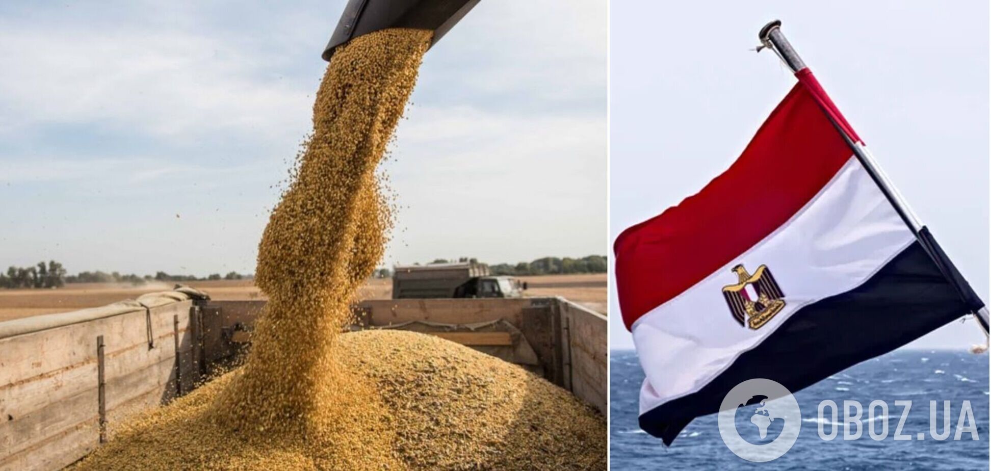Египет закупил почти полмиллиона тонн пшеницы из РФ