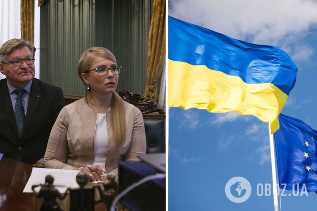Тимошенко и Немыря пытаются убедить евродепутатов не принимать Украину в ЕС по ускоренной процедуре – источники
