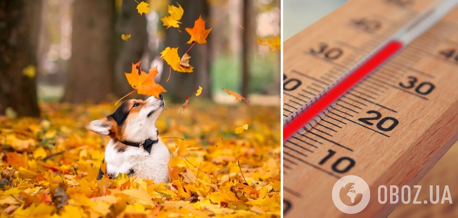 Облачно и комфортно +29: синоптики дали прогноз погоды на вторник, 5 сентября