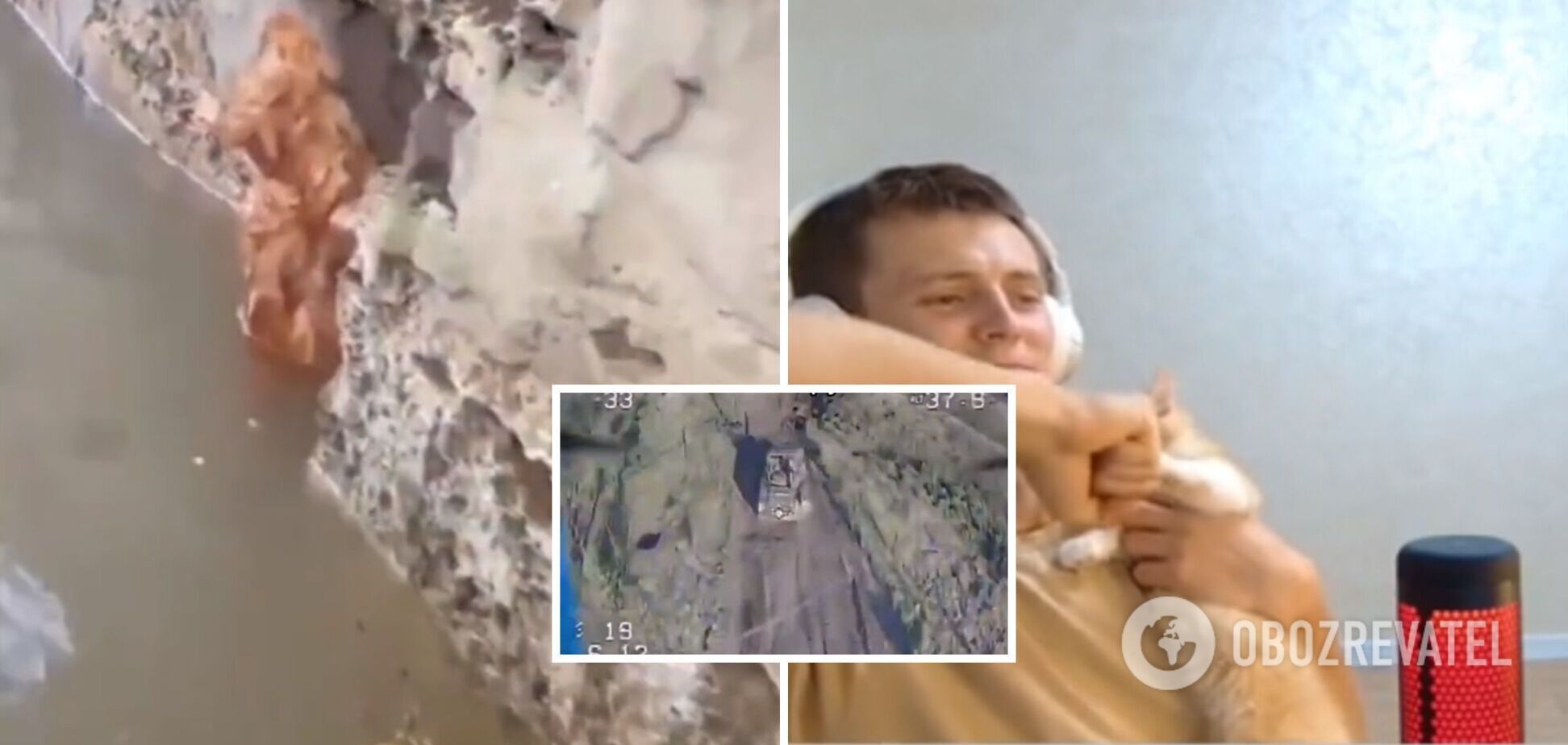 В окупантів втрат на 3 млн доларів: врятоване під час підриву Каховської ГЕС кошеня 'помстилося' окупантам