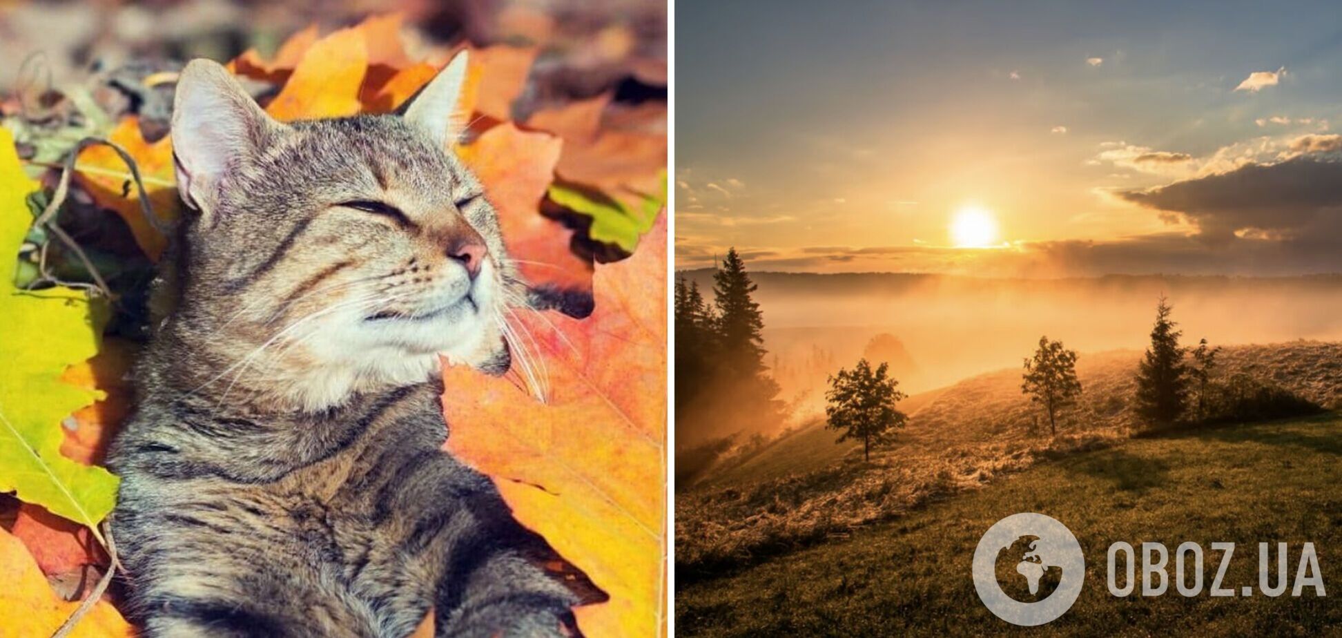 Кратковременные дожди, грозы и до +27 тепла: синоптики рассказали, какой будет погода в Украине в четверг