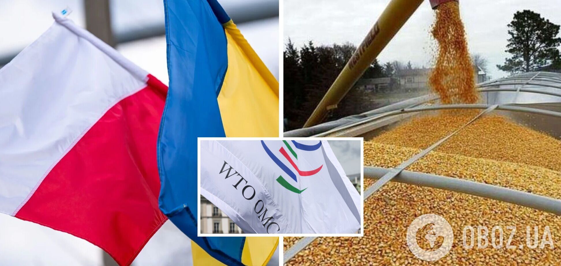 Украина обратилась в ВТО с жалобой на Польшу и другие страны
