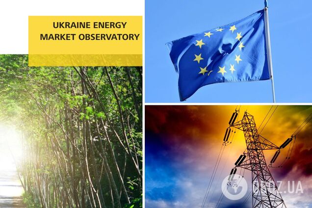 В Энергетическом Сообществе выступили против введения импортного ПСО в Украину