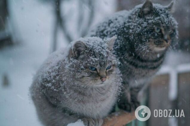 У регіоні очікується до 13°С морозу