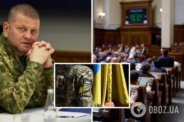 Є два варіанти рішення, почалася зустріч із Залужним: нардеп розповів про долю законопроєкту про мобілізацію