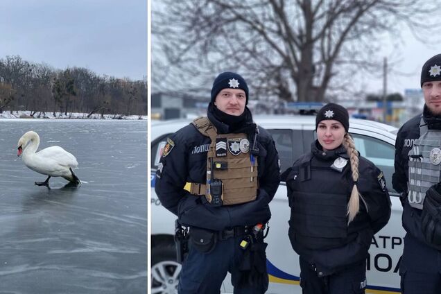 Полицейские спасли птицу из ледяной ловушки