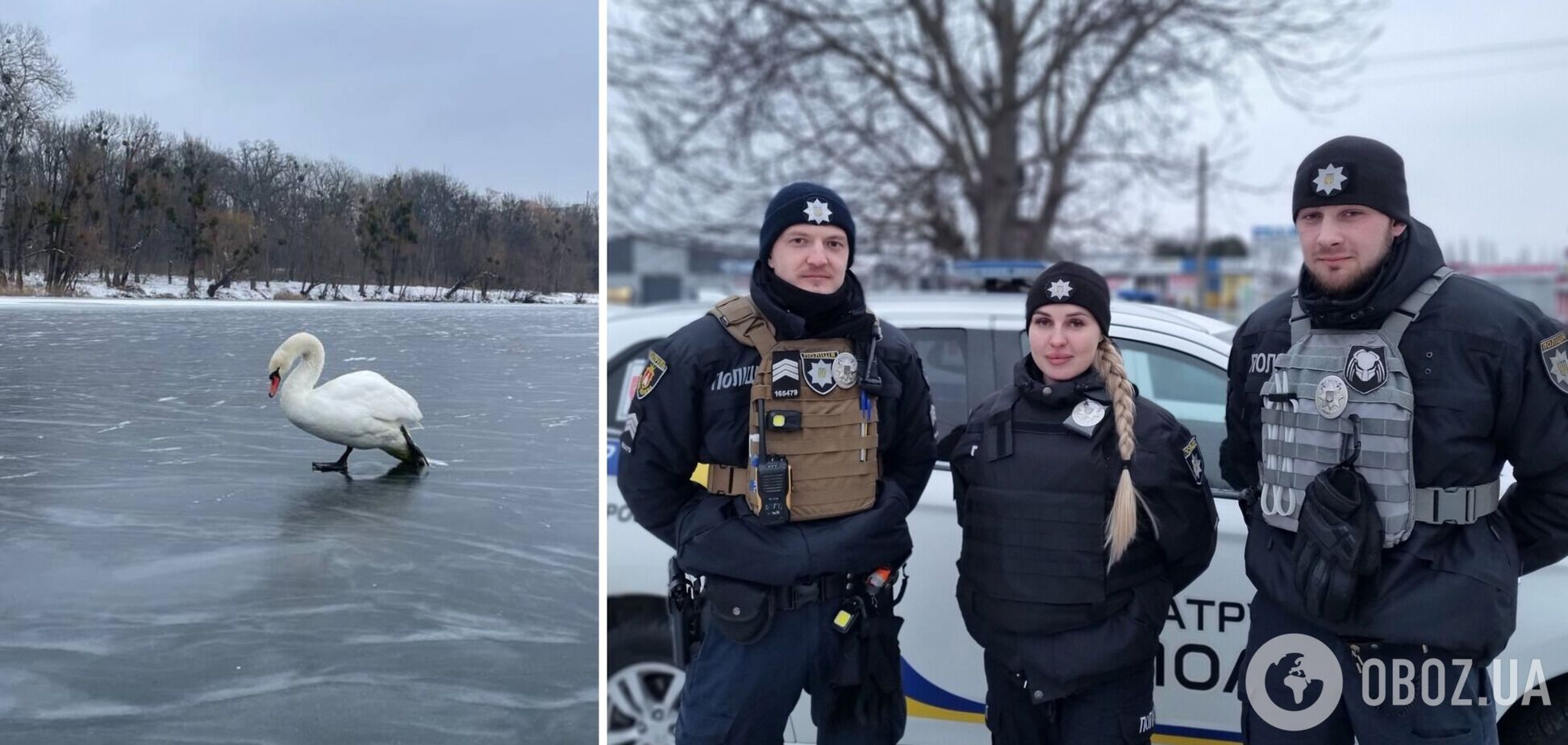 Полицейские спасли птицу из ледяной ловушки