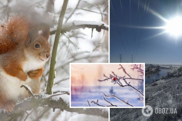 В Україну після 'потепління' ввірвуться морози до 13 градусів: синоптики назвали дату похолодання. Карта