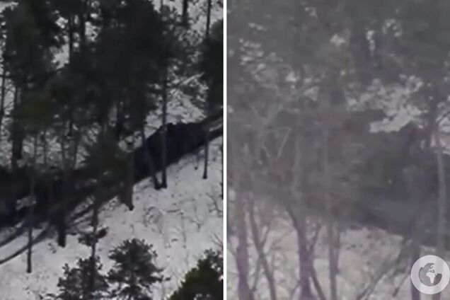 Знищивши на Херсонщині ЗРК 'Оса', ЗСУ заодно ліквідували командира зенітно-ракетного полку армії РФ – росЗМІ