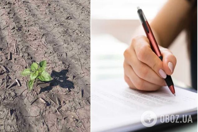 У некоторых украинцев с 2025 года начнут отбирать землю