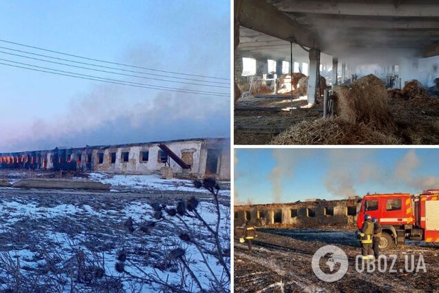 Оккупанты утром нанесли ракетный удар по Одесщине: есть прилет по агропредприятию. Фото и видео