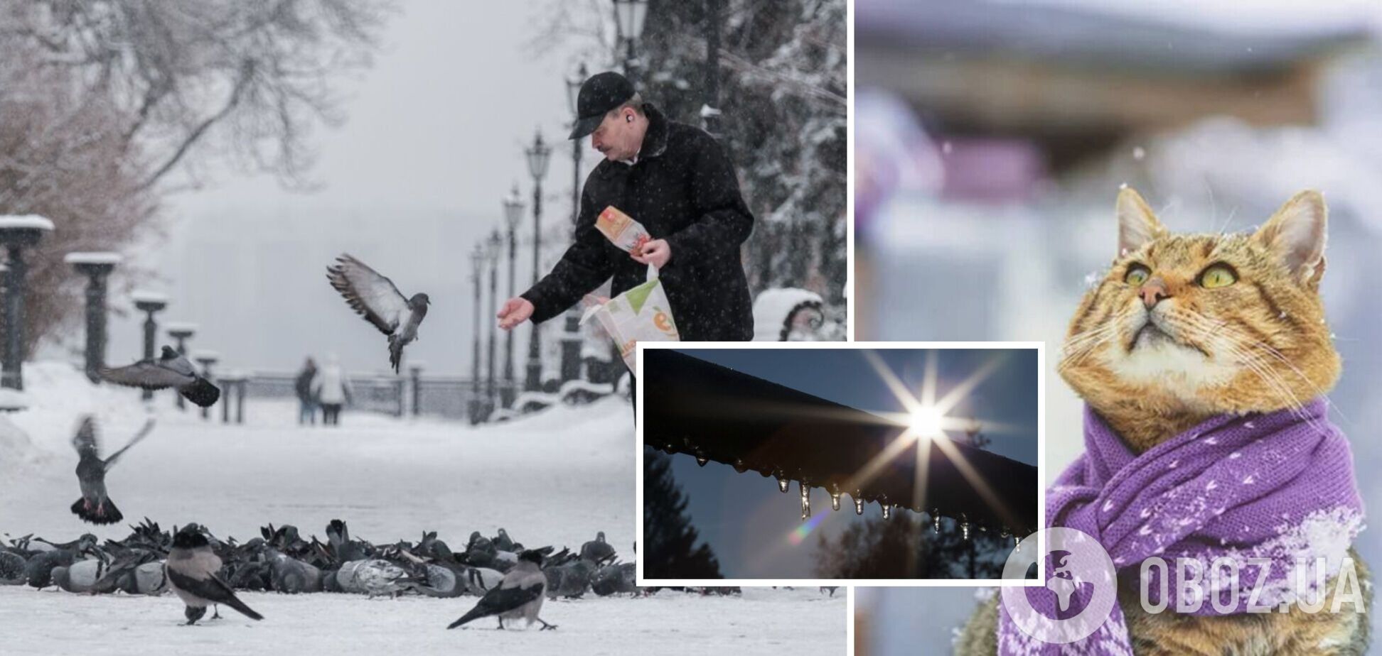 До 7 градусів тепла і ожеледиця: синоптики дали прогноз погоди на четвер, 25 січня